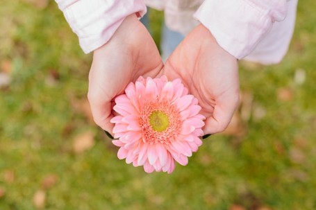 Mãos  oferecendo uma flor.